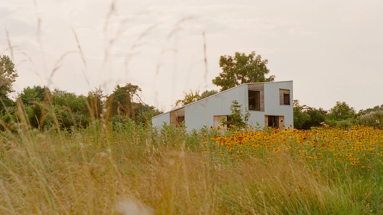 Sundays 2025 08 WHS DE 013